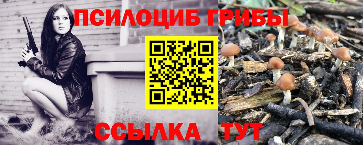 Галлюциногенные грибы MAGIC MUSHROOMS  Вход с VPN  Домодедово  Галлюциногенные грибы ЛСД 